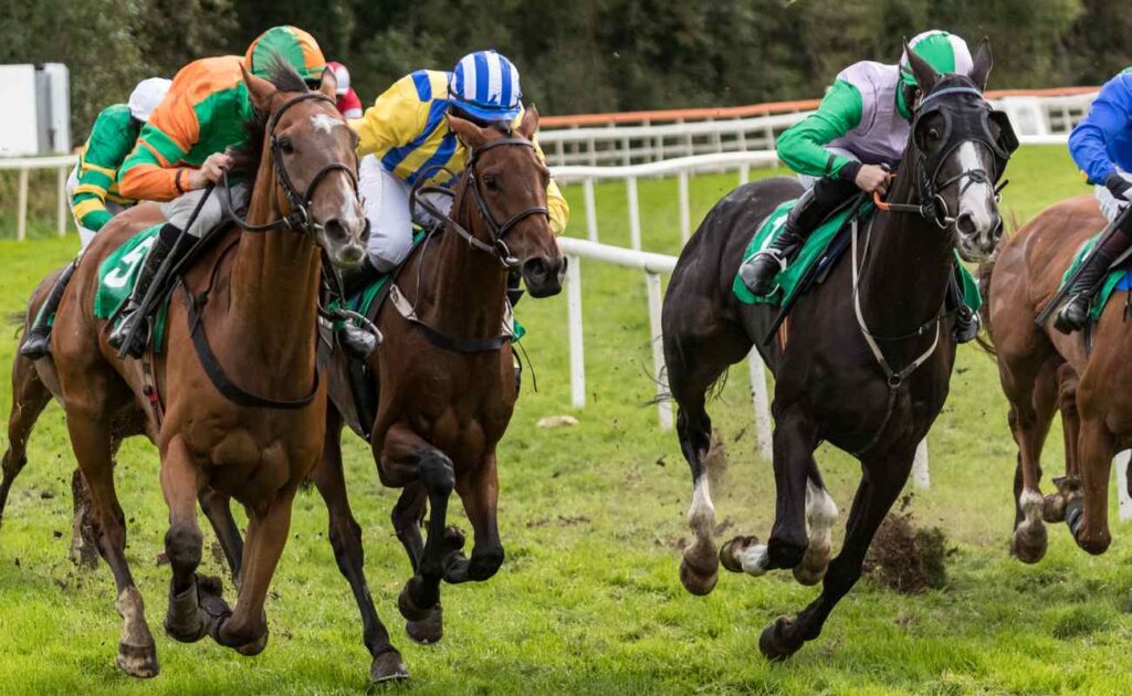 New Jersey Horse Races