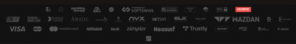 Software & Webseite im Fokus