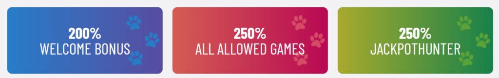 Cool Cat Casino Bonusangebote