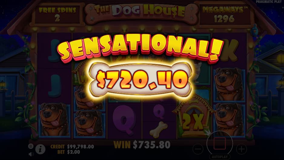 the Dog House Super Win