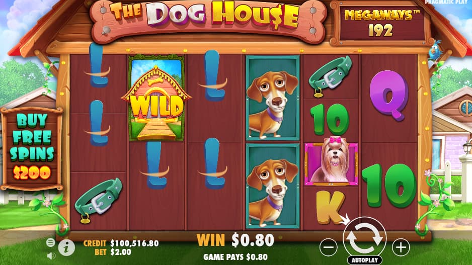 The Dog House Slot Features