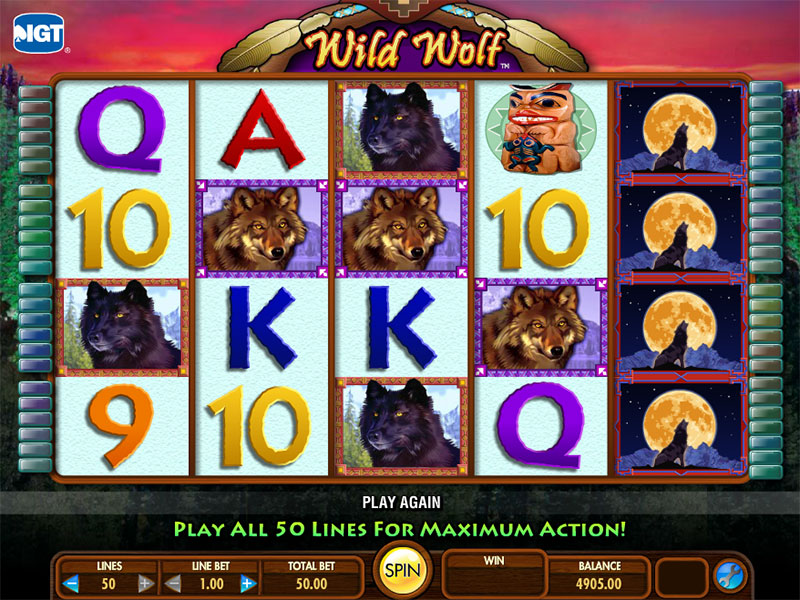 Real Money Play in Wild Wolf Slot